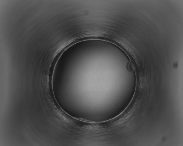 X0000095690834200801151146