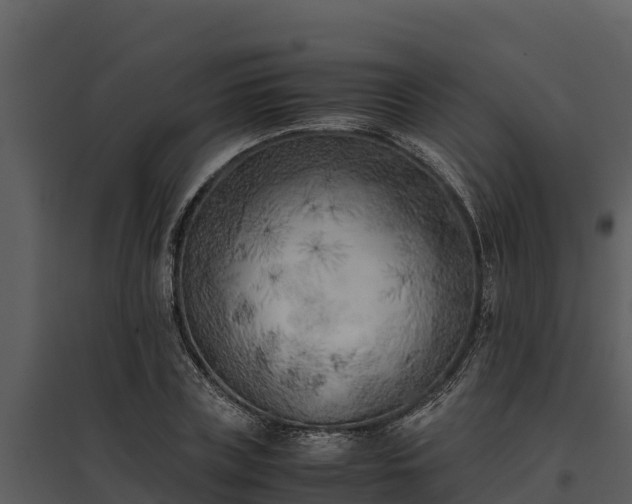 X0000095690835200801151146