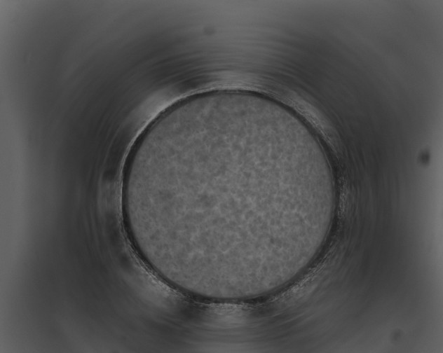 X0000095690836200801151146