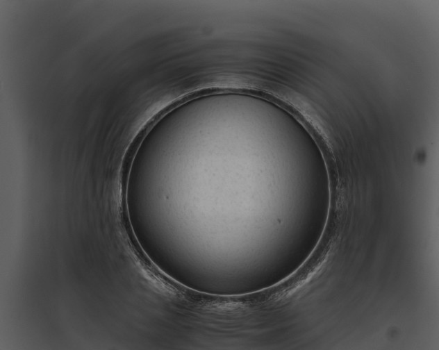 X0000095690837200801151146