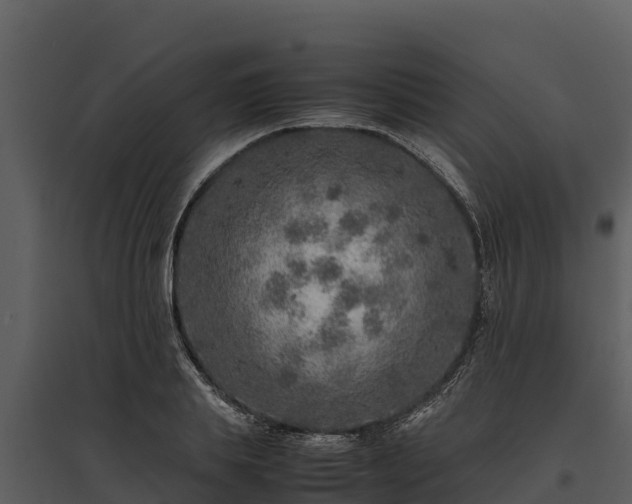X0000095690839200801151146