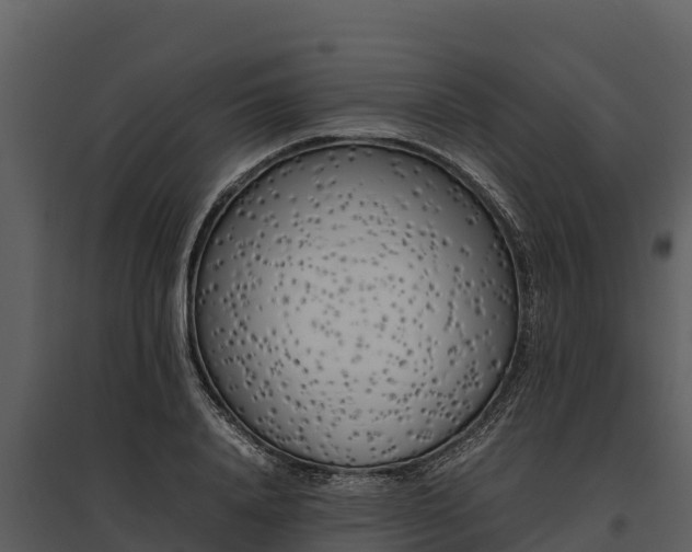 X0000095690840200801151146