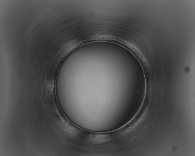 X0000095690841200801151146