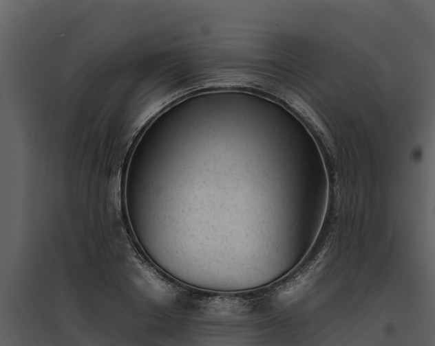 X0000095690842200801151146