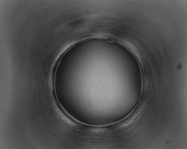 X0000095690843200801151146