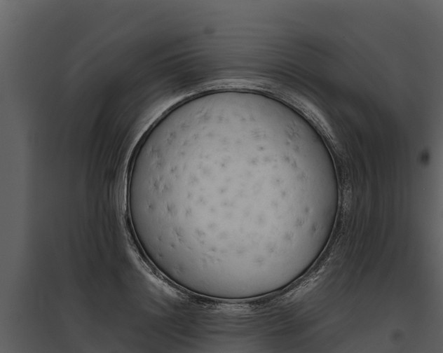 X0000095690844200801151146
