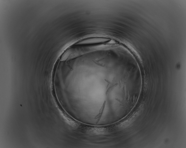 X0000095690845200801151147