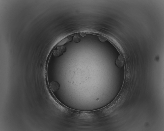 X0000095690847200801151147