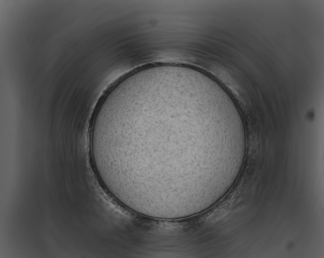X0000095690848200801151147