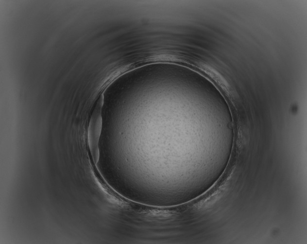 X0000095690849200801151147