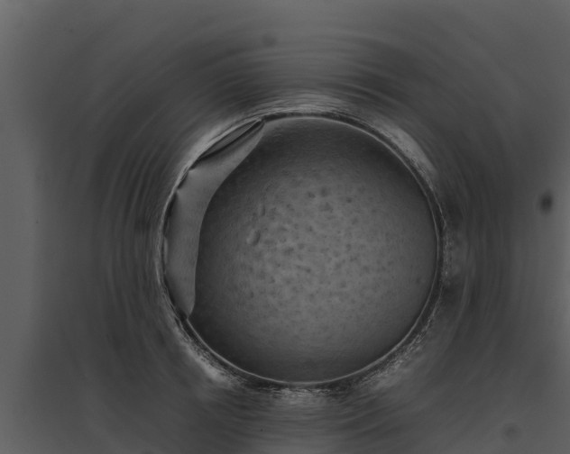 X0000095690850200801151147