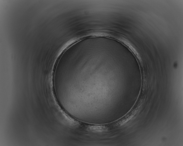 X0000095690853200801151147