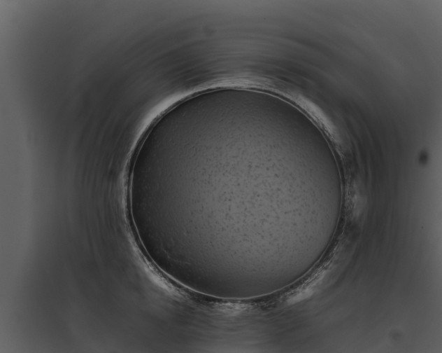 X0000095690854200801151147