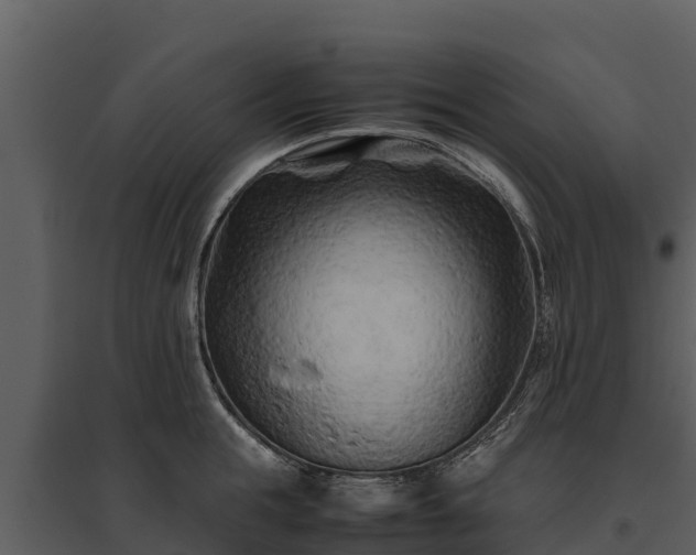 X0000095690855200801151147