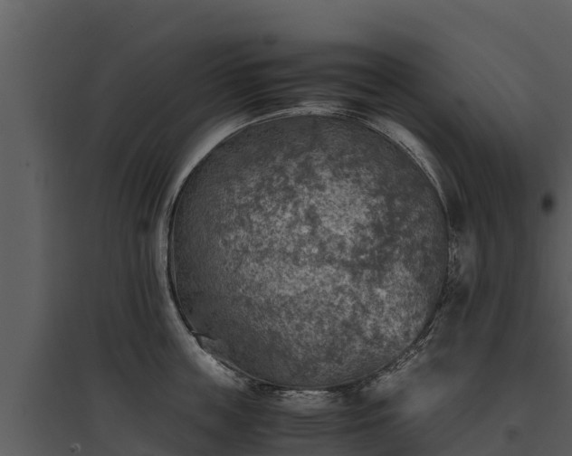 X0000095690859200801151147
