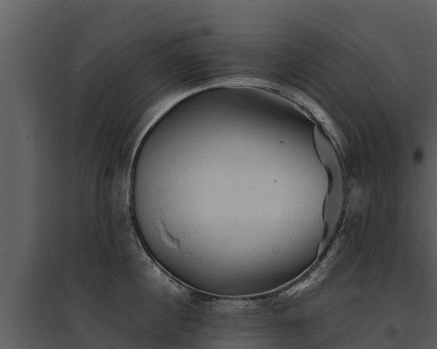 X0000095690860200801151147