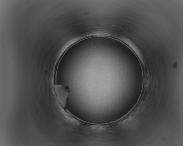 X0000095690861200801151147