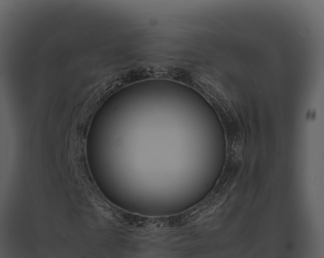 X0000095690865200801151146