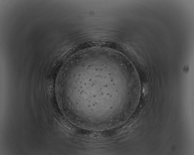 X0000095690867200801151146