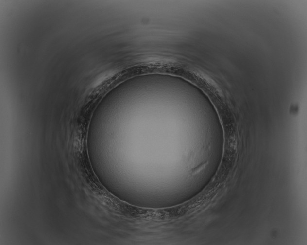 X0000095690869200801151146