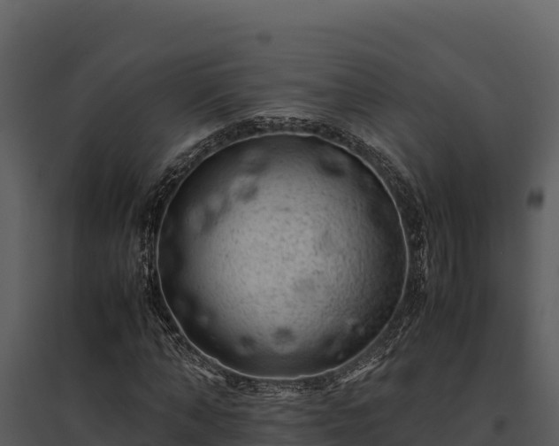 X0000095690870200801151146