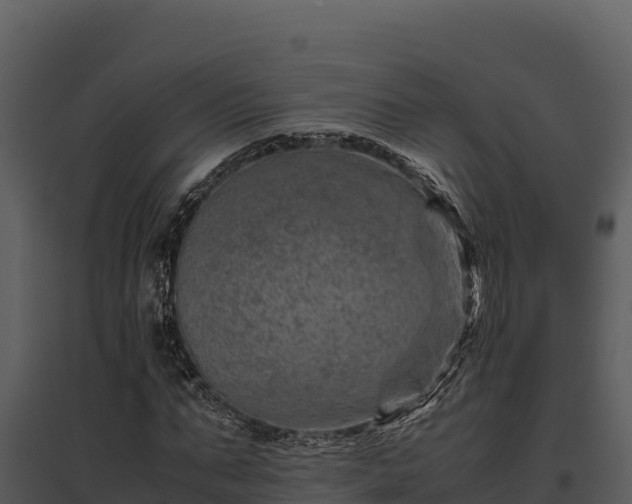 X0000095690871200801151146