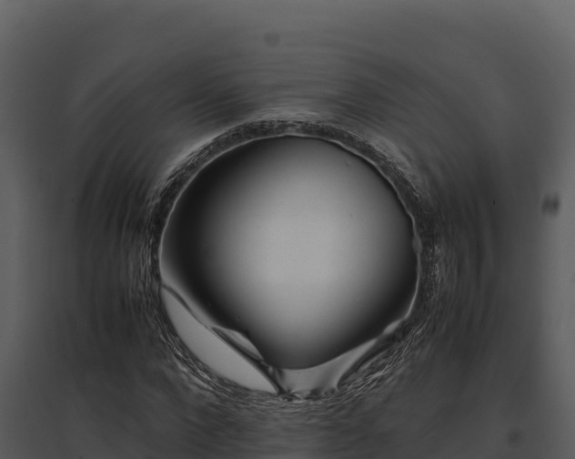 X0000095690872200801151146