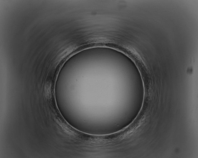 X0000095690873200801151146