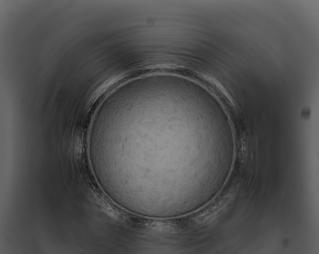 X0000095690874200801151146