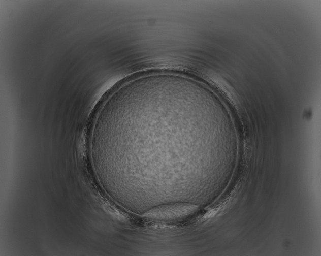 X0000095690875200801151146