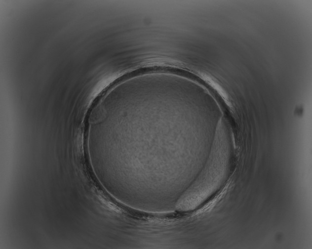 X0000095690877200801151146