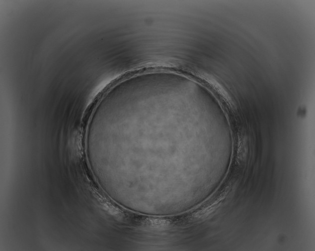 X0000095690878200801151146