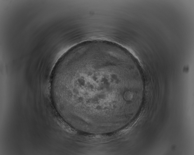X0000095690879200801151146