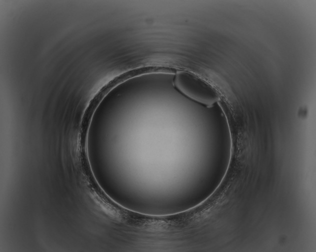 X0000095690880200801151146