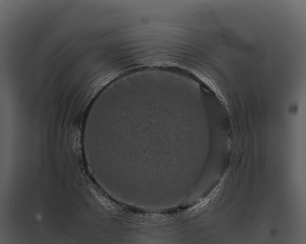 X0000095690881200801151146