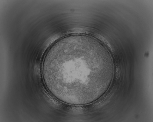 X0000095690882200801151146