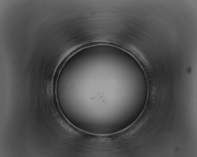 X0000095690884200801151146