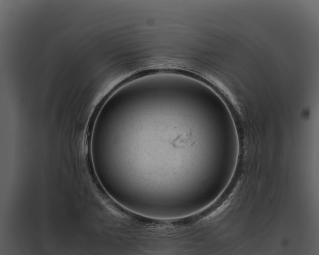X0000095690885200801151146