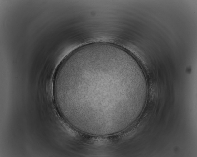 X0000095690886200801151146