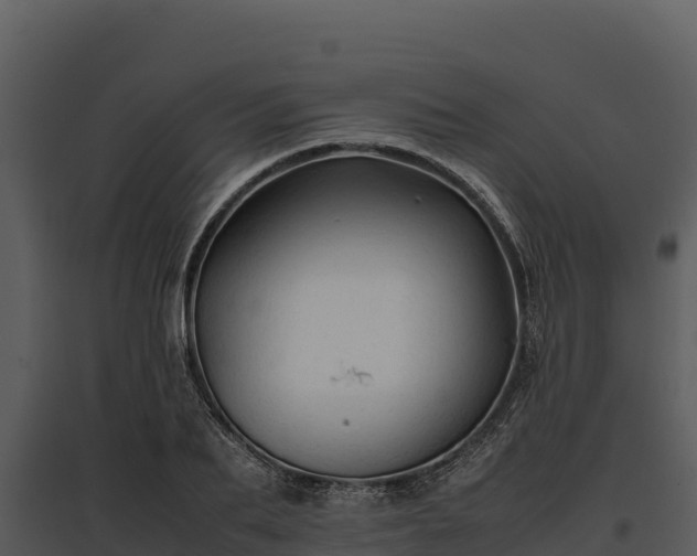 X0000095690887200801151146