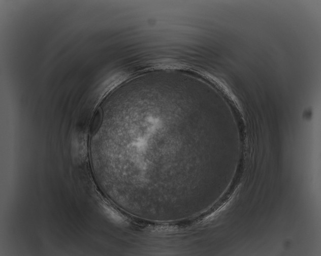 X0000095690889200801151146