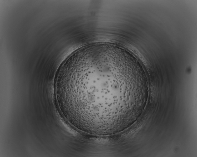 X0000095690890200801151146
