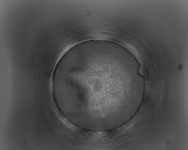 X0000095690891200801151146