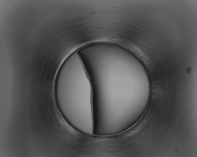 X0000095690892200801151146