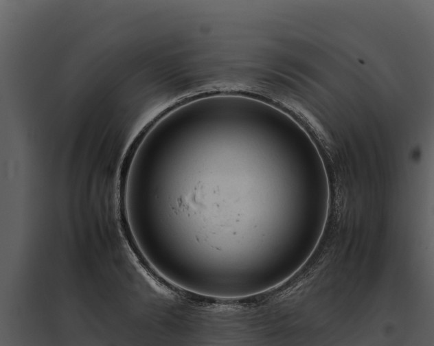 X0000095690894200801151146
