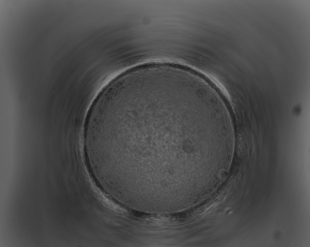 X0000095690895200801151146
