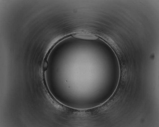 X0000095690896200801151146