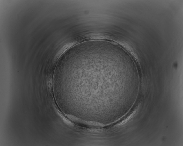X0000095690897200801151145
