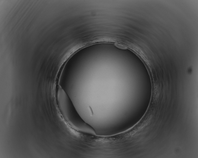 X0000095690898200801151145