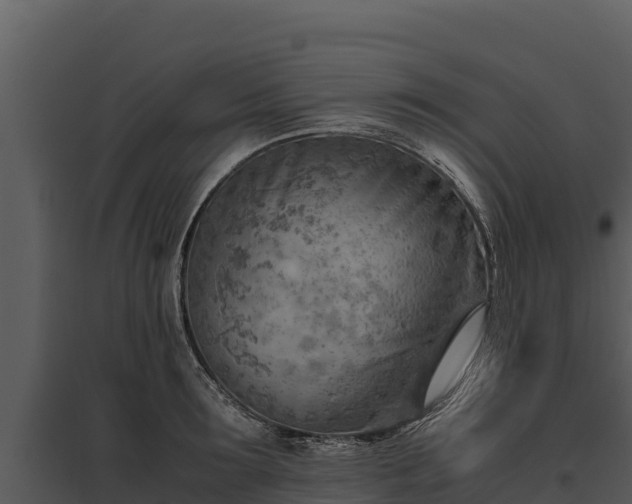 X0000095690899200801151145
